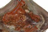 Polished Devil's Red Agate Slab - TeePee Canyon, South Dakota #373400-1